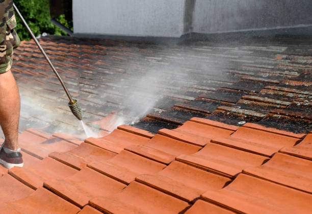 Best Pressure Washing Contractors  in Tioga, TX