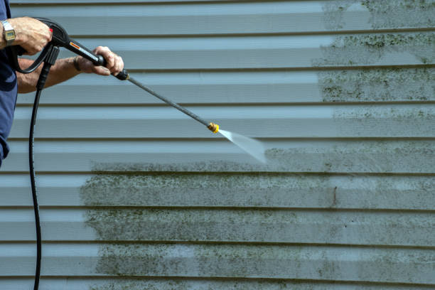Professional Pressure Washing in Tioga, TX
