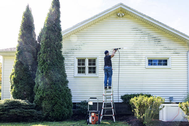 Best Roof Pressure Washing  in Tioga, TX